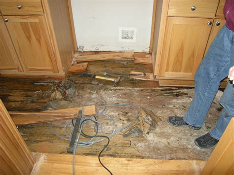 Awasome Kitchen Floor Water Damage 2023