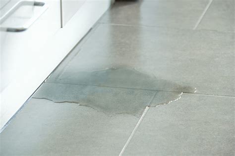 Awasome Kitchen Floor Water Leak Ideas