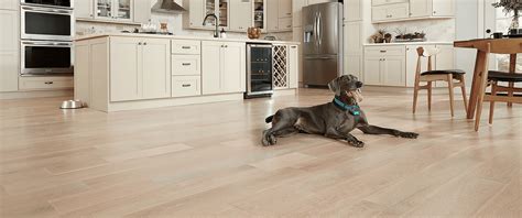 Cool Kitchen Flooring Dog Friendly Ideas