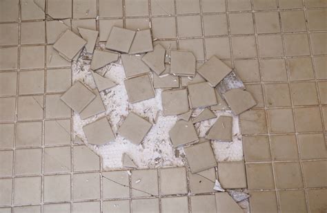 Review Of Kitchen Tiles Cracking 2023