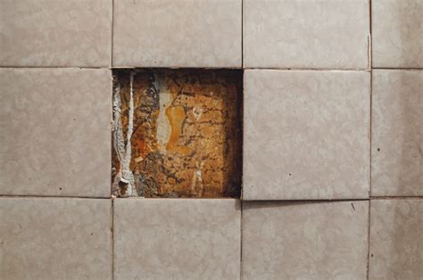 Awasome Kitchen Tiles Falling Off References