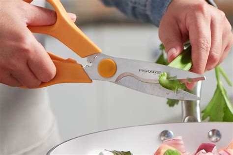 Kitchen Shears Care