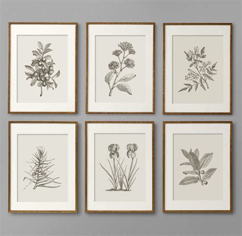 Kitchen Wall Art Botanical