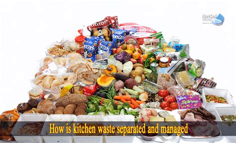 Kitchen Waste