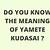 kite kudasai meaning