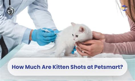 kitten shots at petsmart
