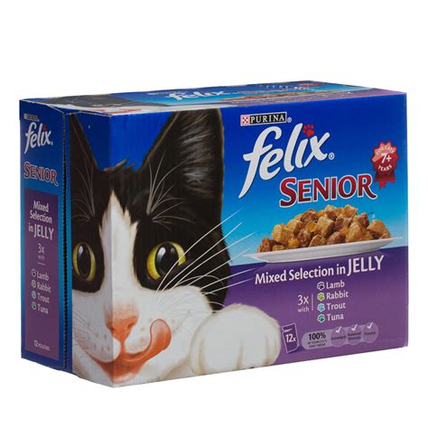 kitten food for senior cats
