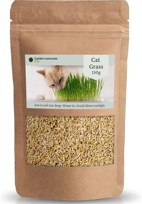 Kitten Grass Seed
