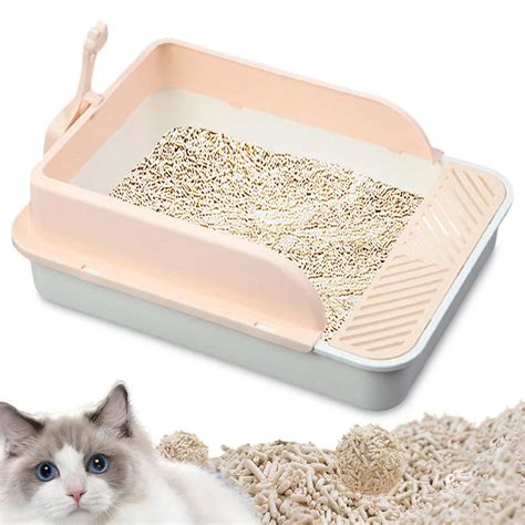 Kitten Sandbox