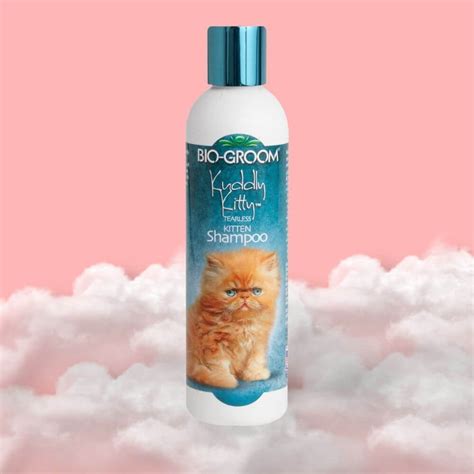 Kitten Shampoo Substitute