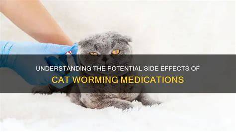 kitten worming side effects