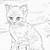 kittens coloring pages to print for teens realistics