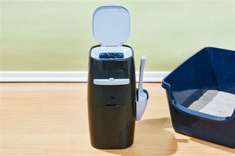 Kitty Litter Disposal