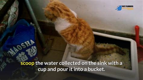 Kitty Litter Drain