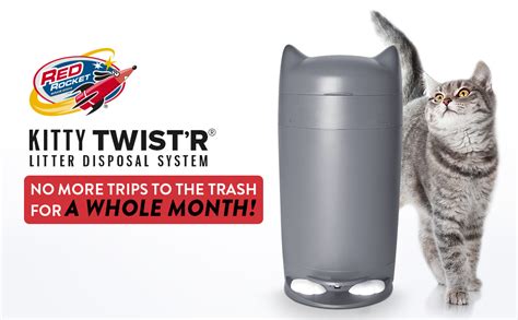 Kitty Litter Garbage Disposal
