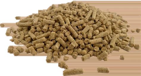 Kitty Litter Refractory