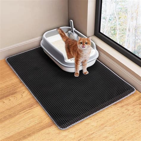 Kitty Litter Rug