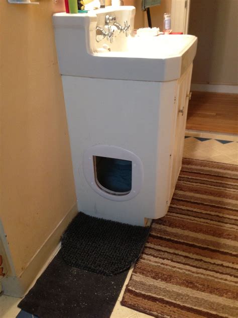 Kitty Litter Under Sink