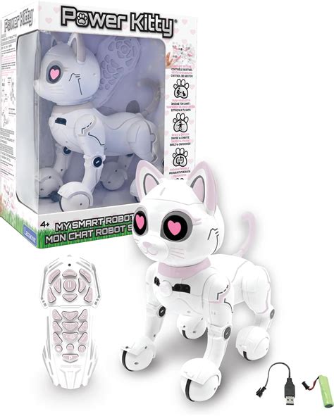 Kitty Robot Amazon