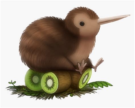 kiwi bird images download
