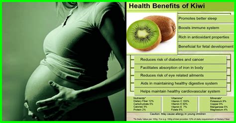 kiwi fruit benefits for pregnant women