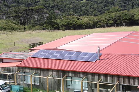 kiwi solar farms