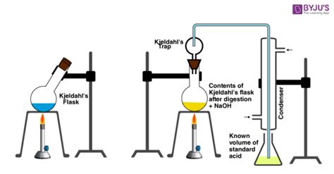 Kjeldahl Method Experiment
