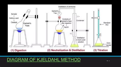 Kjeldahl Method Theory