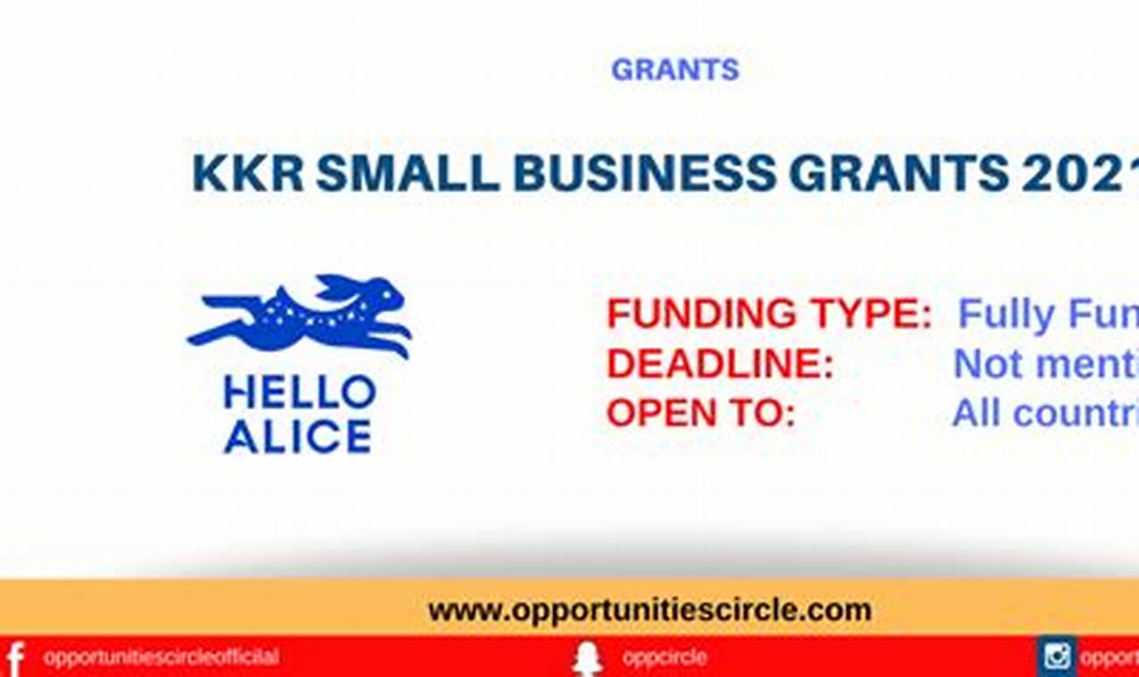 kkr small business grants