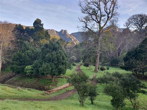 klaasenbosch trail