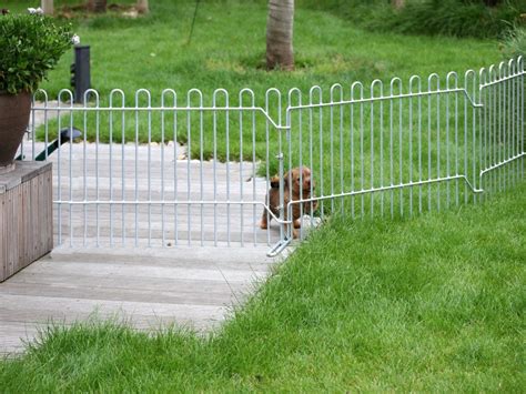 Cheap Fence Ideas For Dogs In DIY Reusable And Portable Dog Fence