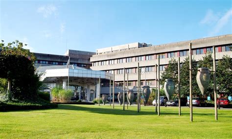 kliniek sint blasius dendermonde