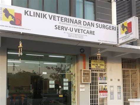 Klinik Haiwan Kuala Terengganu / Biler haiwan sakit perlu bawa jumpa