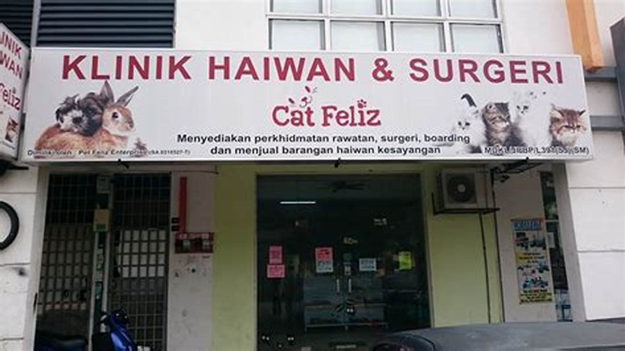 Temukan Klinik Kucing Terdekat untuk Perawatan dan Kesejahteraan Kucing Anda!