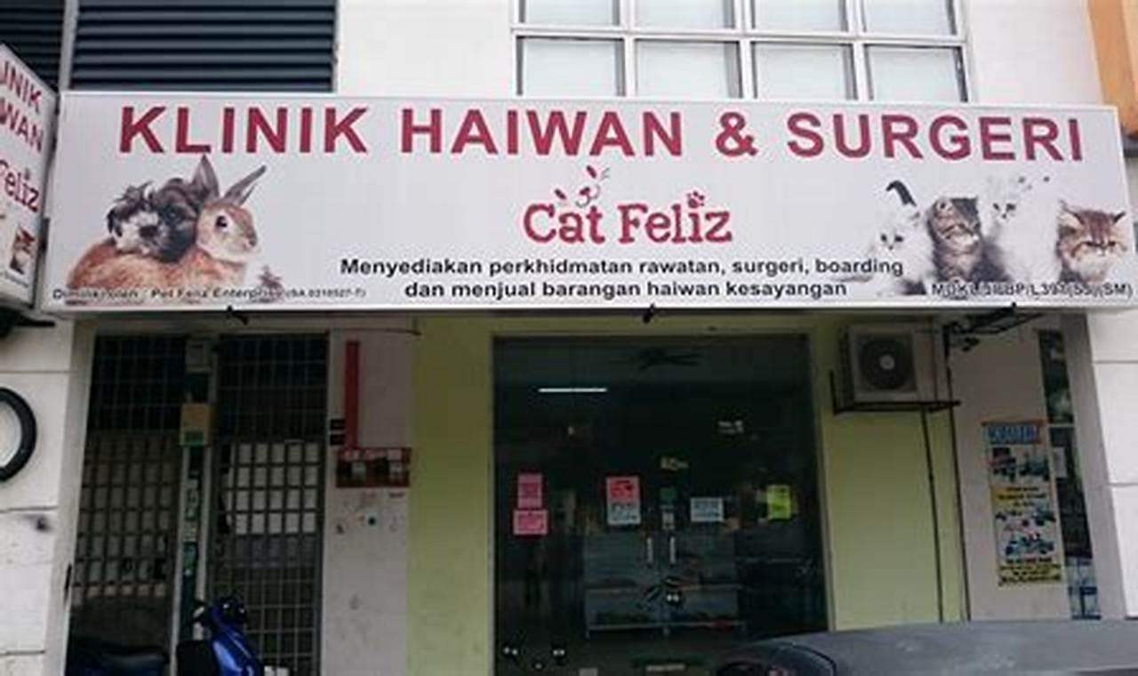 Temukan Klinik Kucing Terdekat untuk Perawatan dan Kesejahteraan Kucing Anda!
