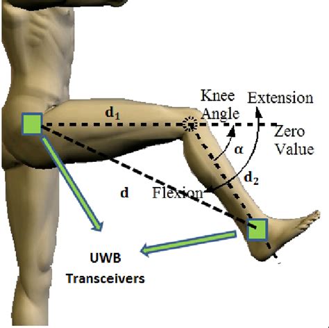 Knee Extension Angle