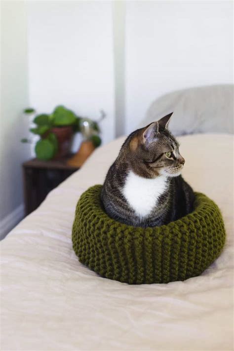 How to Knit the Purrfect Cat Bed Cat bed pattern, Cat