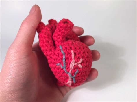 Knitting Pattern Anatomical Heart