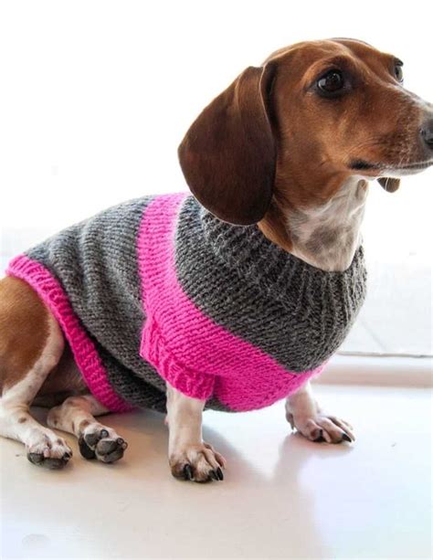 Knitting Pattern For A Puppy Coat