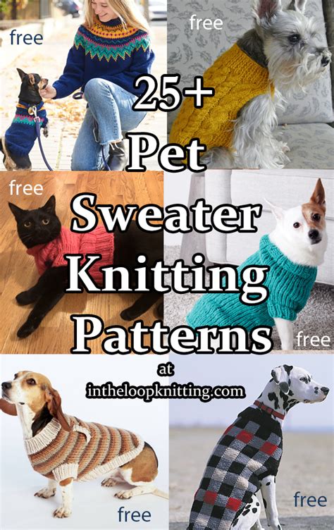 Knitting Pattern Pet Sweater