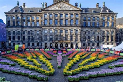 knowledgeable guide Amsterdam