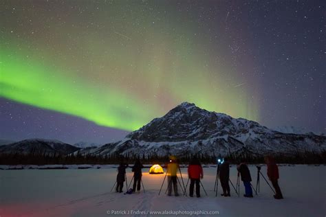 knowledgeable tour guide artic