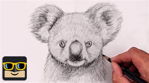 Koala Drawing Sketch