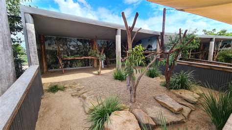 koala enclosures