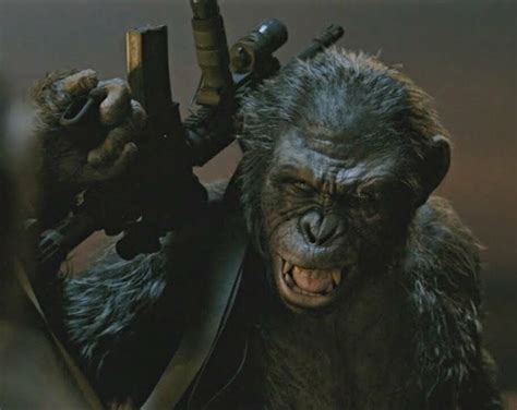 koba planet of the apes