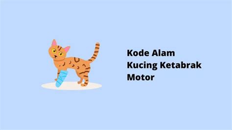 Kode Alam Kucing Ketabrak Mobil
