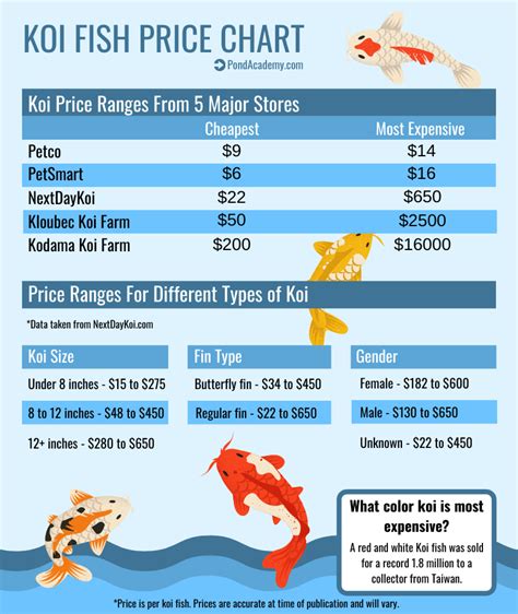 koi fish cost