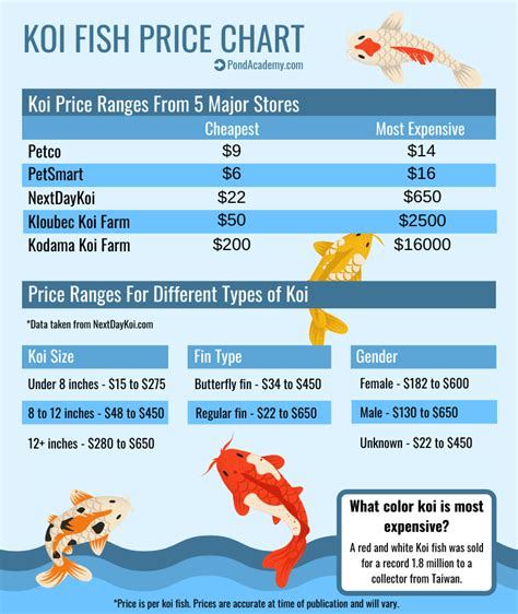 Koi Fish Prices