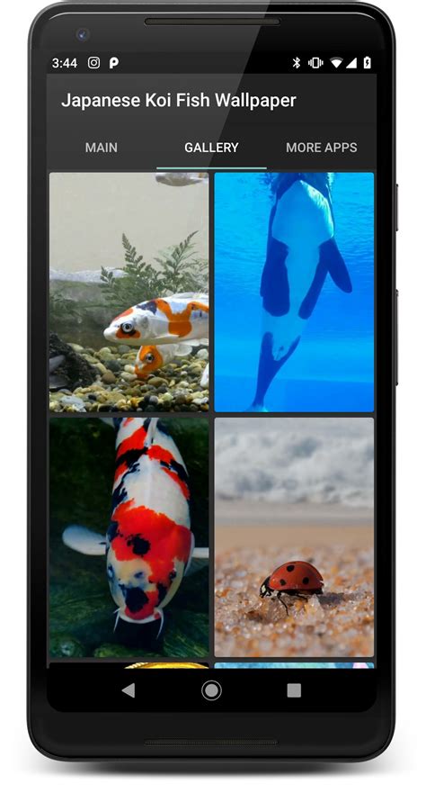 Koi Fish Wallpaper Apk