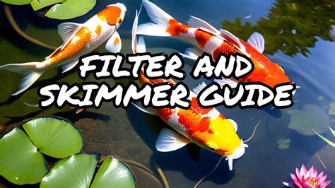 Koi Skimmer Setup